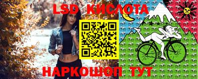 ГАЛЛЮЦИНОГЕННЫЕ ГРИБЫ Кулебаки
