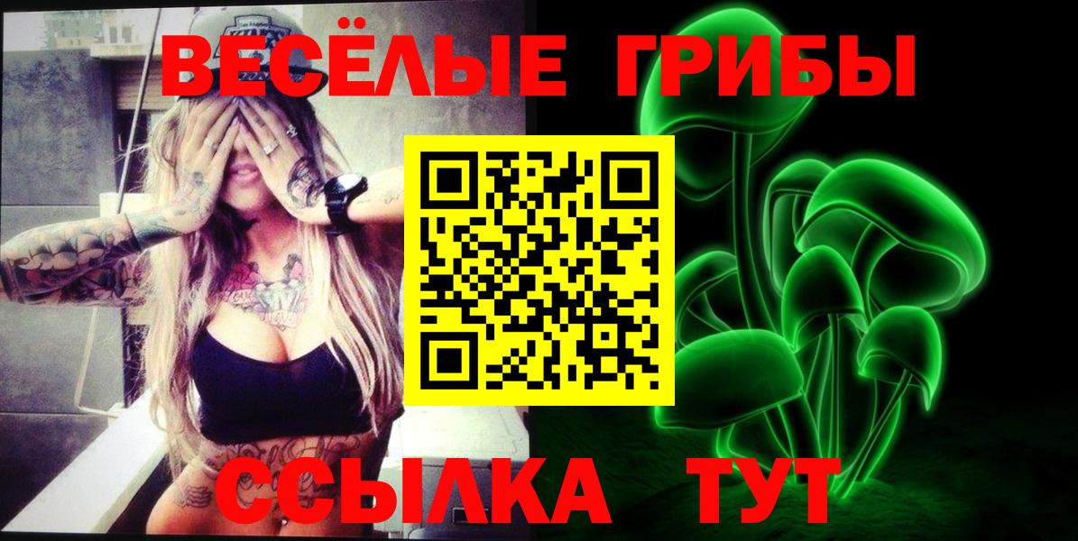 Псилоцибиновые грибы Magic Shrooms  Псилоцибиновые грибы мицелий  Кольчугино  Вход с VPN 