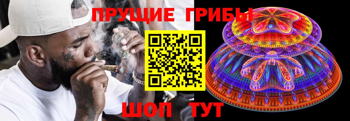 Галлюциногенные грибы мухоморы Кольчугино